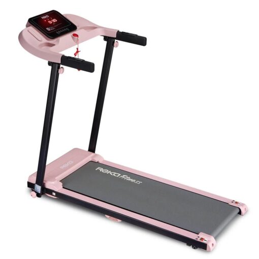 FlexiSpot Pro